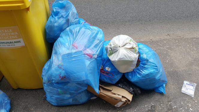 Bydgoszczanie mają już dość! Wciąż toną w śmieciach!