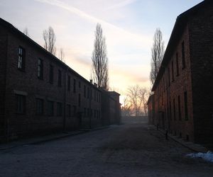 Obchody 80. rocznicy wyzwolenia Auschwitz