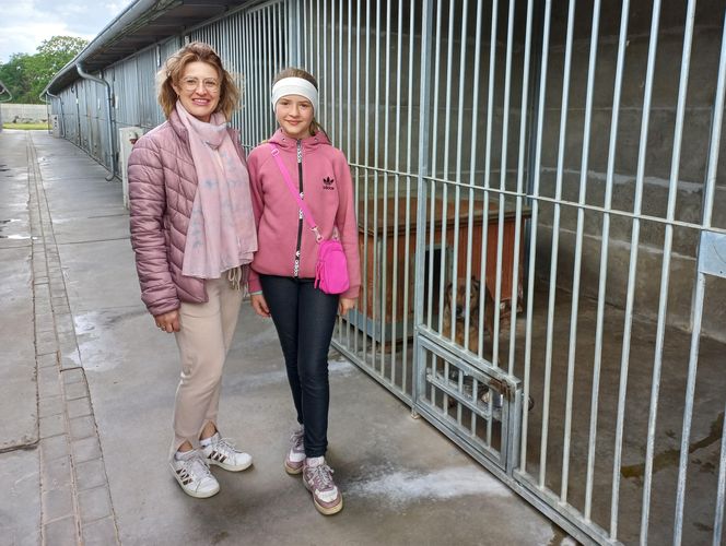 „Wszystkie psiaki nasze są” w schronisku w Henrykowie koło Leszna