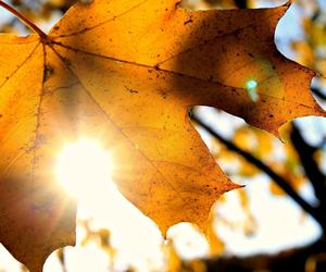 Nagły powrót lata w październiku. Afrykański podmuch ciepła uderzy w Polskę. Eksperci mówią o prognozach