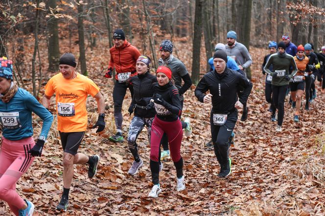 Katowicki City Trail jak zwykle ze znakomitymi biegaczami i biegaczkami. Zobacz zdjęcia ze sportowej imprezy