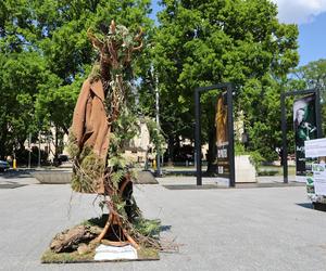 Weekend z florystyką w Lublinie. Zobacz imponujące roślinne instalacje w centrum miasta!