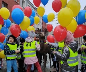 Jelonek stanął przy fontannie na ul. Długiej! Nowa atrakcja turystyczna Łomży poleca się do robienia zdjęć