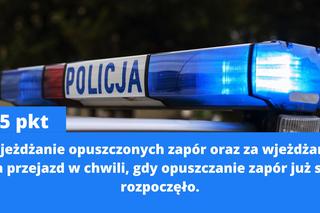 Za co dostaniesz 15 punktów karnych? Nowy taryfikator już w połowie września 