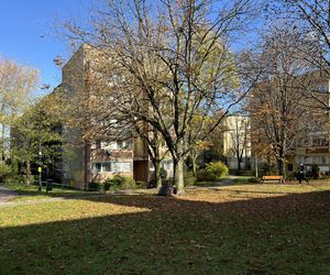 Okolica bloku na Teligi - osiedle z czasów PRL