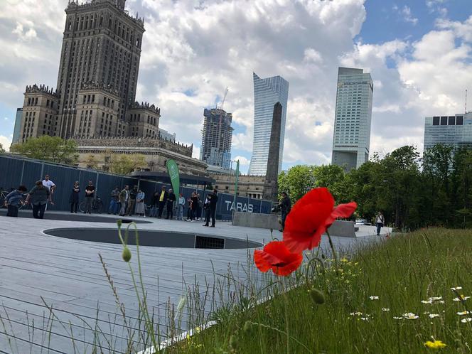 Na placu Defilad powstał skwer aktywności!