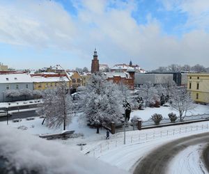 Leszno wygląda bajkowo! Na walentynki sypnęło śniegiem