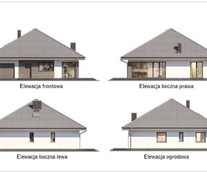 Czterolistna koniczyna wariant XIX - rysunki wszystkich elewacji