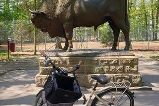 To najciekawsza miejscowość turystyczna w Łódzkiem. Jest nazywana „drugim Belwederem”