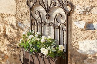 Skrzynki balkonowe na balustradę: Loberon