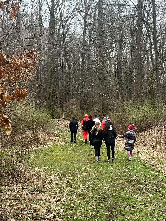 Morsy z Chicago poszukały ochłody w Michigan
