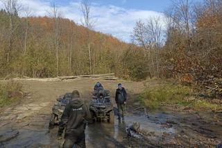 Nielegalne rajdy po podkarpackich lasach. Kolejna akcja straży leśnej 