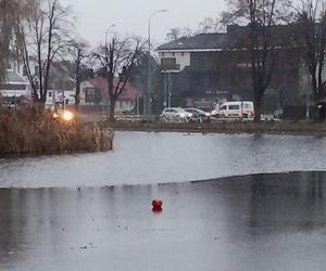 O krok od tragedii na stawach przy ul. Mickiewicza! Straż Miejska uratowała dwójkę dzieci