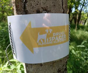 II Spacer Śladami Kliforda w Grudziądzu