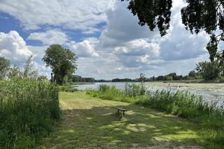 Z jeziora wyłowiono ciało kobiety