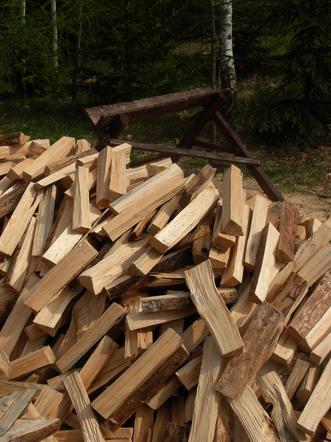 Jak kupić drewno prosto od leśników. Leśniczy wskaże lokalizację, z której można zebrać opał 3