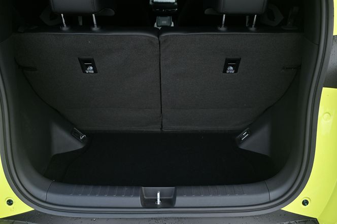BYD DOLPHIN SURF