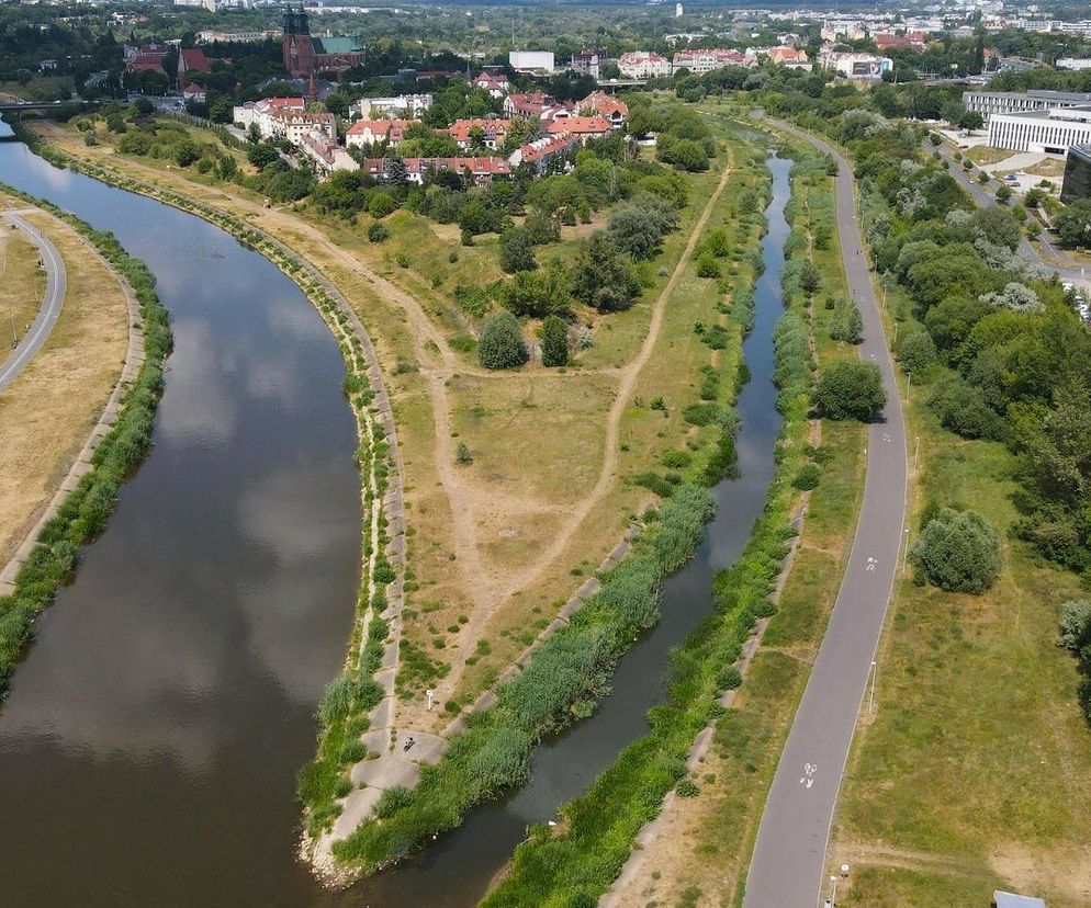 Na Zagórzu - południowej części Ostrowa Tumskiego - rozpoczynają się badania archeologiczne wyprzedzające budowę dwóch przepraw pieszo-rowerowych nad Wartą i Kanałem Ulgi