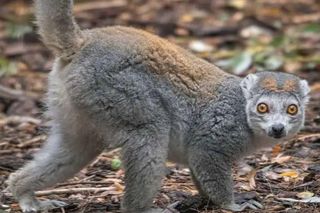 To będzie coś pięknego. ZOO Wrocław ogłosiło ciekawy konkurs dla artystów. Sprawdź szczegóły