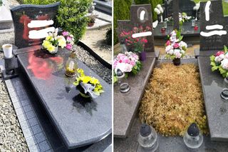 Poparli Trzaskowskiego. Ktoś zdewastował grób rodziców! Mam dzieci i wnuki, boję się