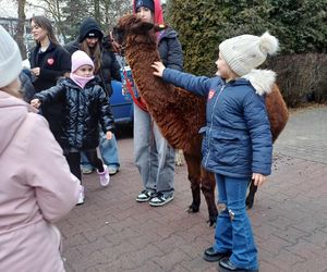 33. Finał WOŚP w Ostrzeszowie [FOTKI]