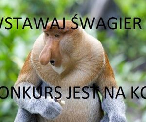 Memy na Dzień Szwagra 