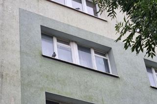 Dawni sąsiedzi Grzegorza Borysa nie mogą uwierzyć w to, co stało się w Gdyni