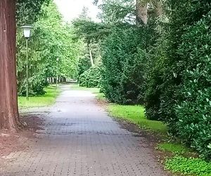 Ohlsdorfer Friedhof w Hamburgu
