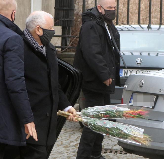 Prezes z palmą, Wałęsa bez