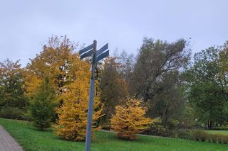 To najlepszy park w Olsztynie na jesienny spacer. Wyboru dokonała sztuczna inteligencja