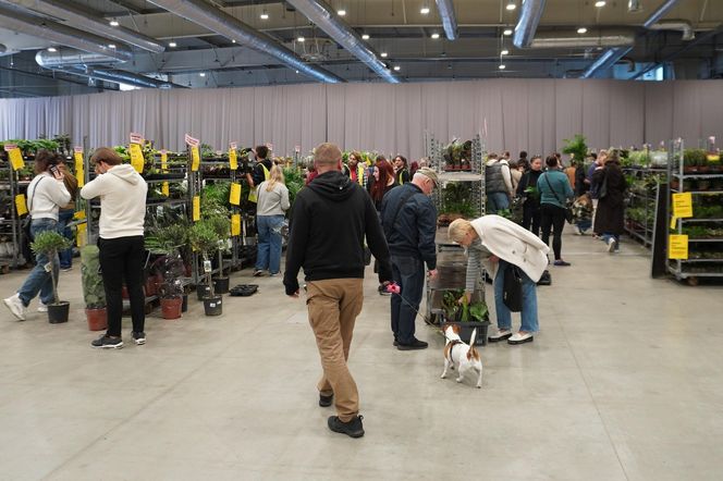 Największy targ roślin doniczkowych ponownie w Lublinie