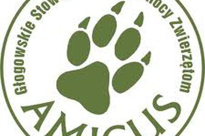 Fot.www.amicus.glogow.pl