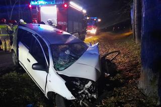 Białowieża. Uciekał przed kontrolą. Pięć osób trafiło do szpitala