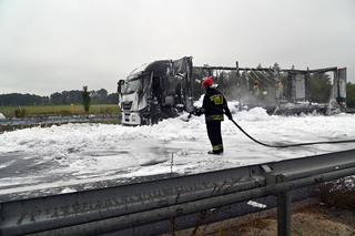 Pożar ciężarówki na S10 pod Stargardem