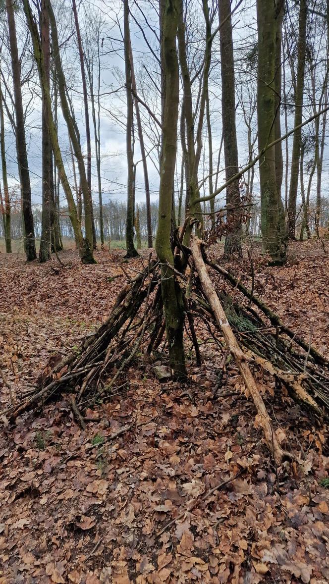 Iławianie po raz szósty połączyli siły, by oczyścić las za osiedlem Podleśnym