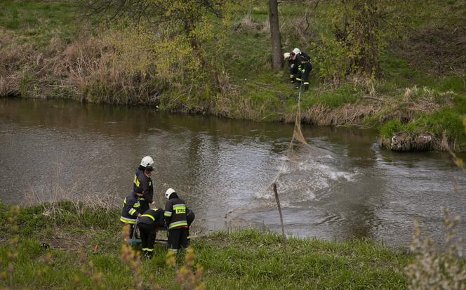 Modliszka z kochankiem zamordowali Mariusza