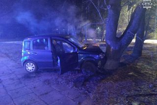 Ucieczkę kradzionym autem zakończył na drzewie. Był kompletnie pijany