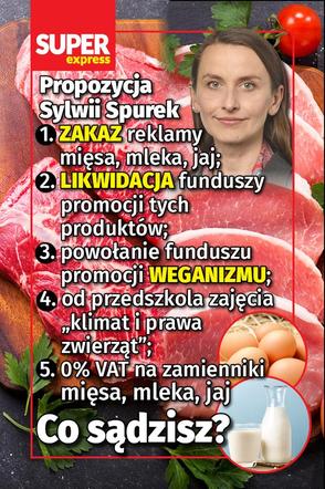 SE Facebook Sylwia Spurek