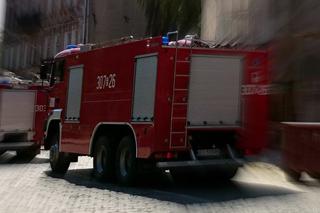 Łódź: KOSZMARNY pożar! CIĘŻARNA WYSKOCZYŁA przed ogniem z drugiego piętra