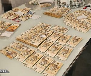 Agencja towarzyska kontra stu policjantów. Kilkanaście osób zatrzymanych!