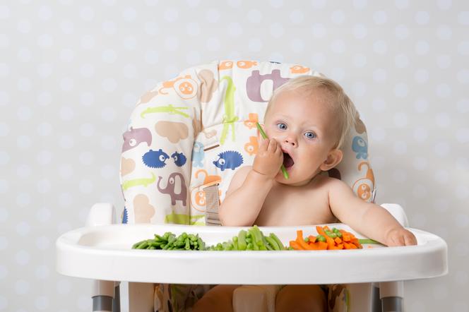 Dieta i istotne składniki dla dziecka w wieku 1-3 lata