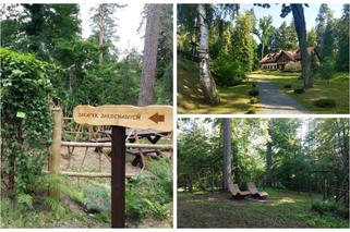 Leśne Arboretum w Kudypach otwarte od 15 kwietnia. To jedno z piękniejszych miejsc na Warmii [ZDJĘCIA]