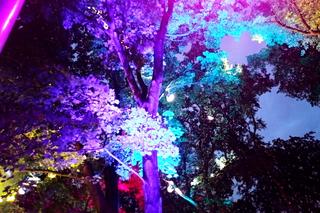 Iluminacje Szczecin 2023