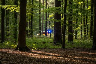 Próba detonacji w Warszawie. Co działo się w lesie przy Olszynce Grochowskiej?