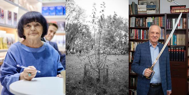 NIEZWYKŁE HISTORIE DRZEW W WARSZAWIE. Przewodnik