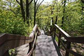 Góra Markowca w Rumi i wieża widokowa