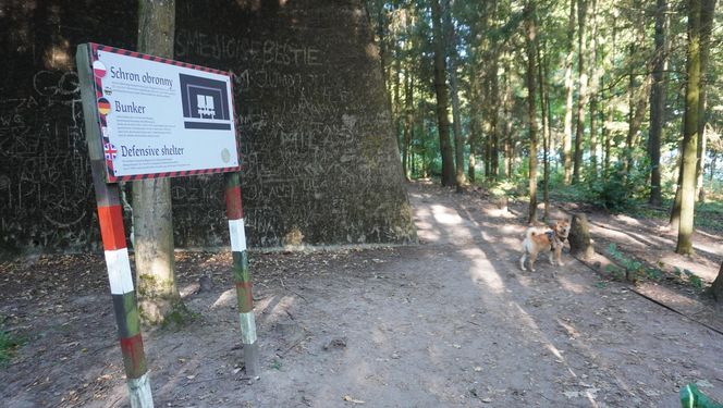 Bunkry na Mazurach wybudowane dla żołnierzy Wehrmachtu. To tu miała być ukryta Bursztynowa Komnata [ZDJĘCIA]