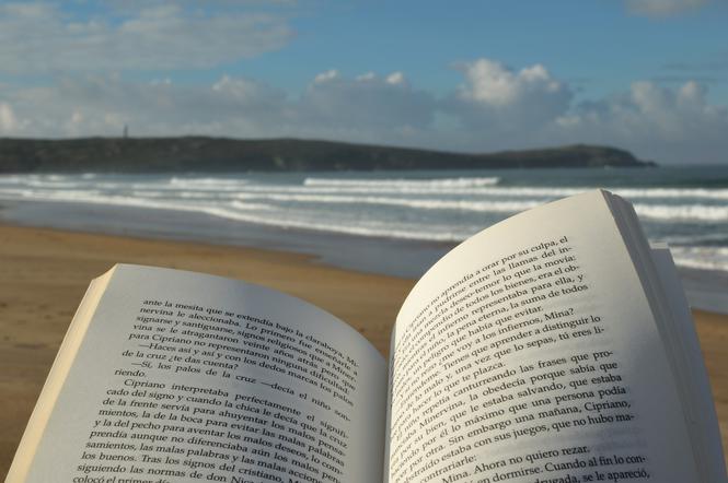 Czytanie na plaży - w Gdańsku będzie to możliwe dzięki plażowym bibliotekom