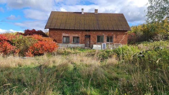 Miał dość brata i jego przyjaciela. Niedługo później Zbigniew już nie żył