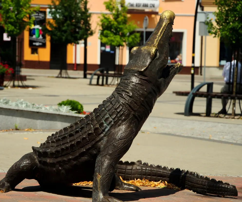 Te miasta na Podkarpaciu najszybciej tracą mieszkańców!